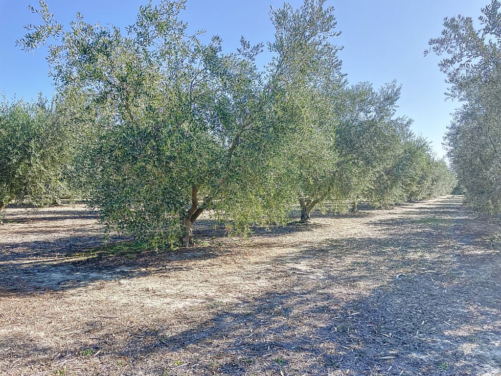 Property photo 1 of 1