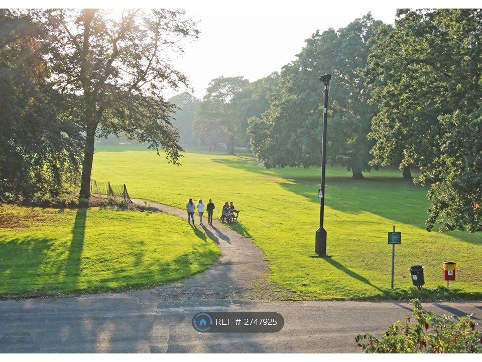 Property photo 3 of 8 View From Studio 5's Kitchen!