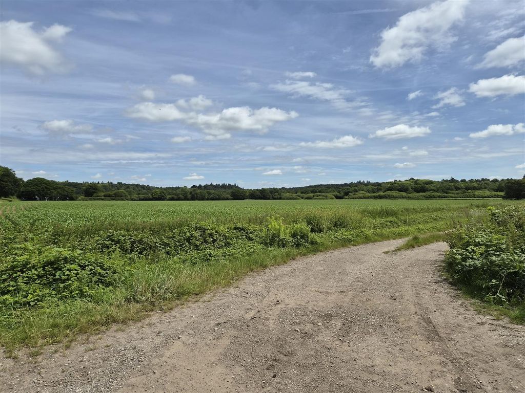 Additional image 13 of Land for salePetersfield Road, Greatham, Liss GU33
