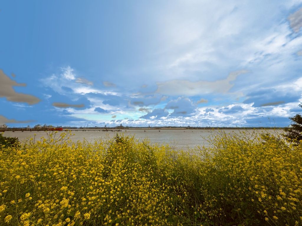Additional image 9 of Land for sale18 Rock Park, Rock Ferry, Wirral CH42