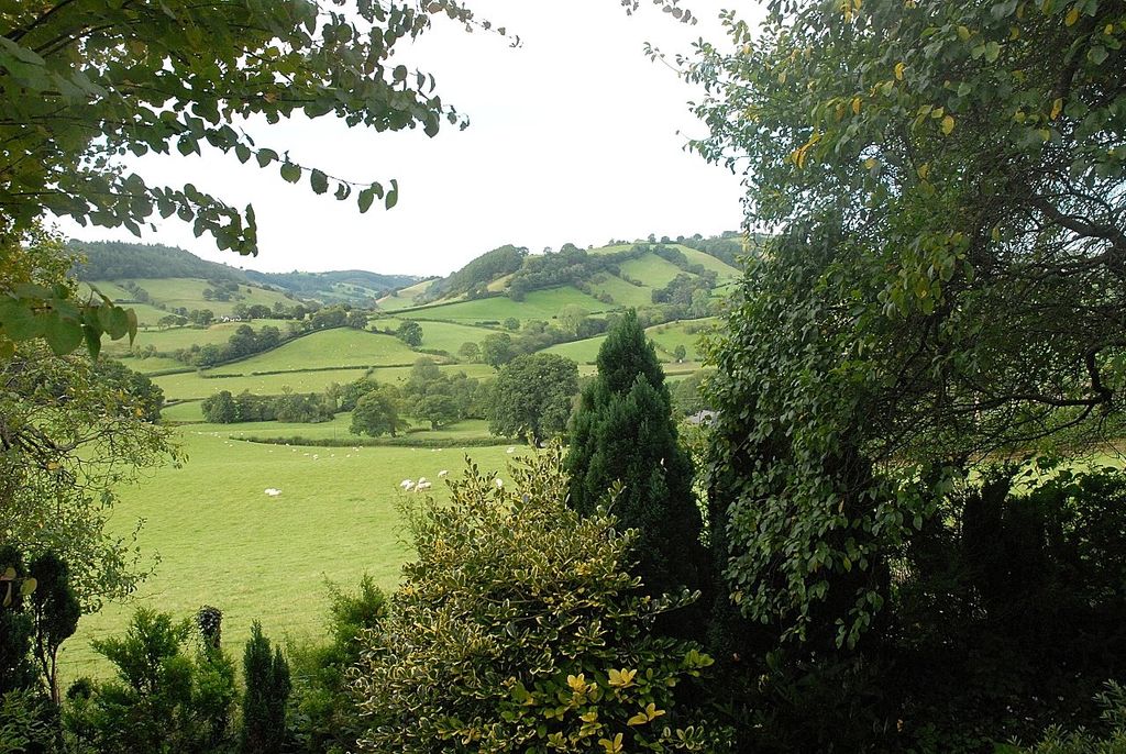 Additional image 29 of 4 bed detached house for saleLlanfyllin, Powys SY22