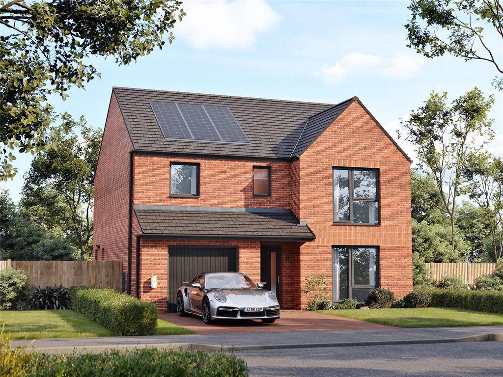 Property photo 1 of 12 Picture No. 13