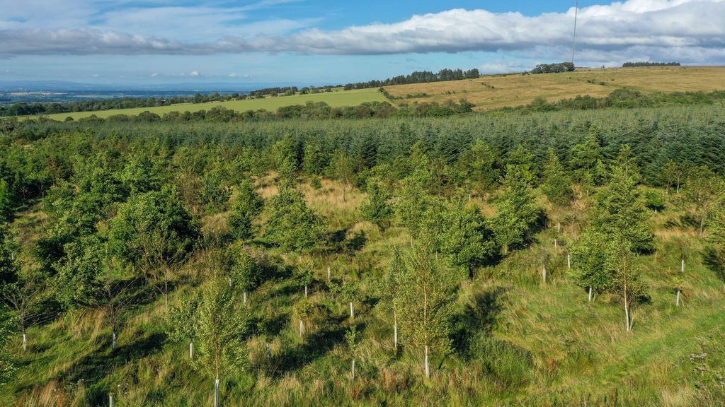 Additional image 7 of Land for saleWestward, Wigton 8Nq, Wigton CA7