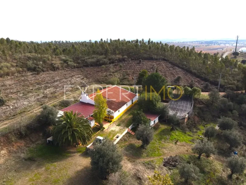 Property photo 2 of 32 Img 1