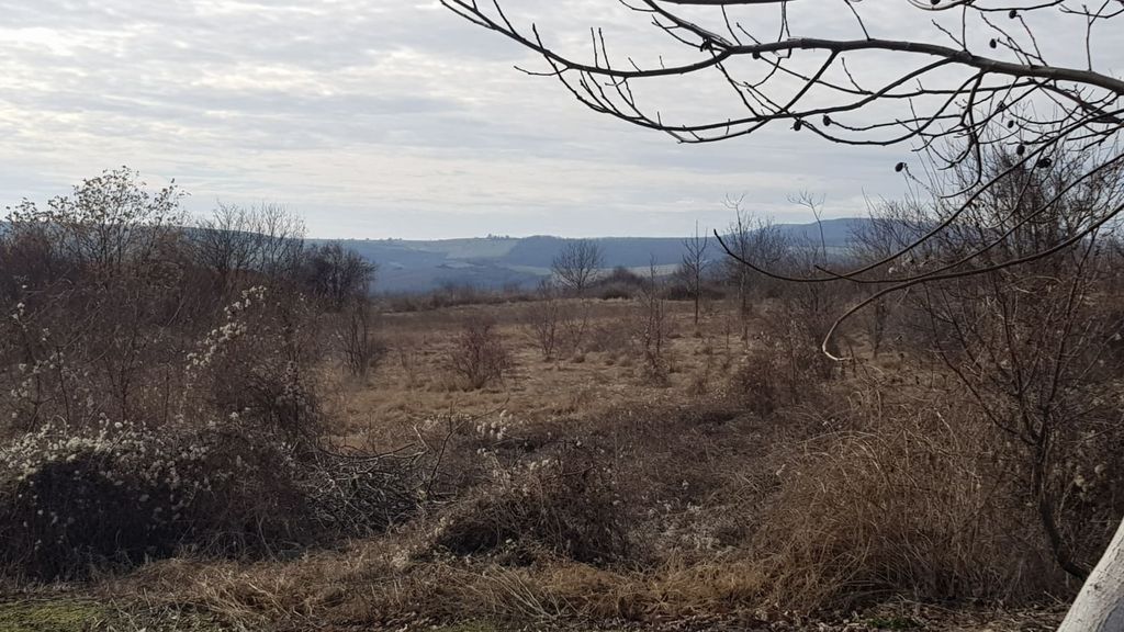 Property photo 3 of 7 Open Land Area With Dry Grass And Scattered Small Trees, Framed By Tree Branches In The Foreground.