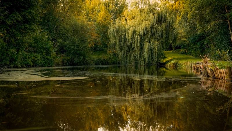 Property photo 2 of 23 Photo 26