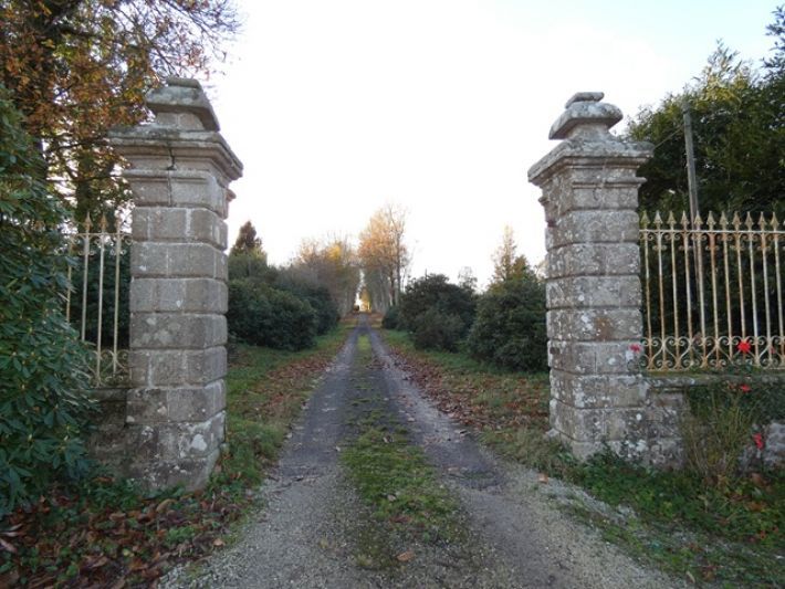 Property photo 3 of 21