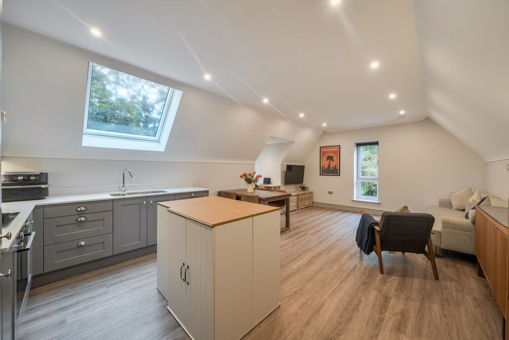 Property photo 3 of 26 Kitchen / Living