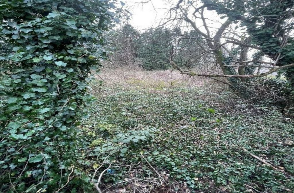 Property photo 3 of 6