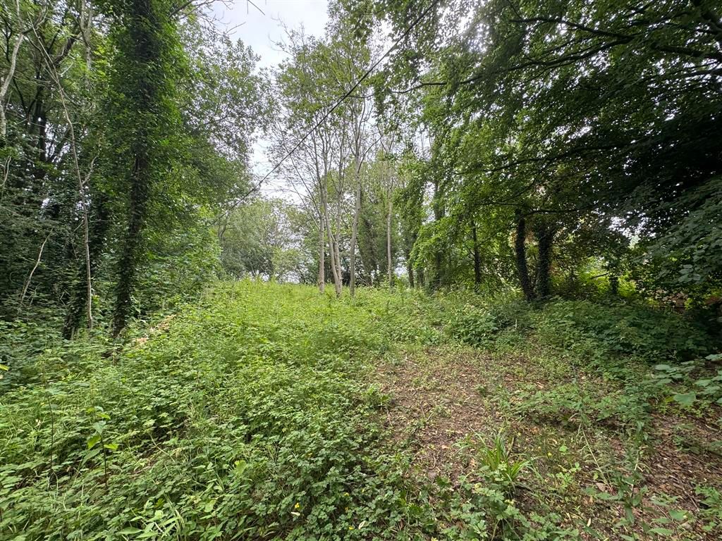 Property photo 3 of 7