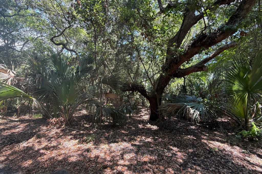 Property photo 1 of 3