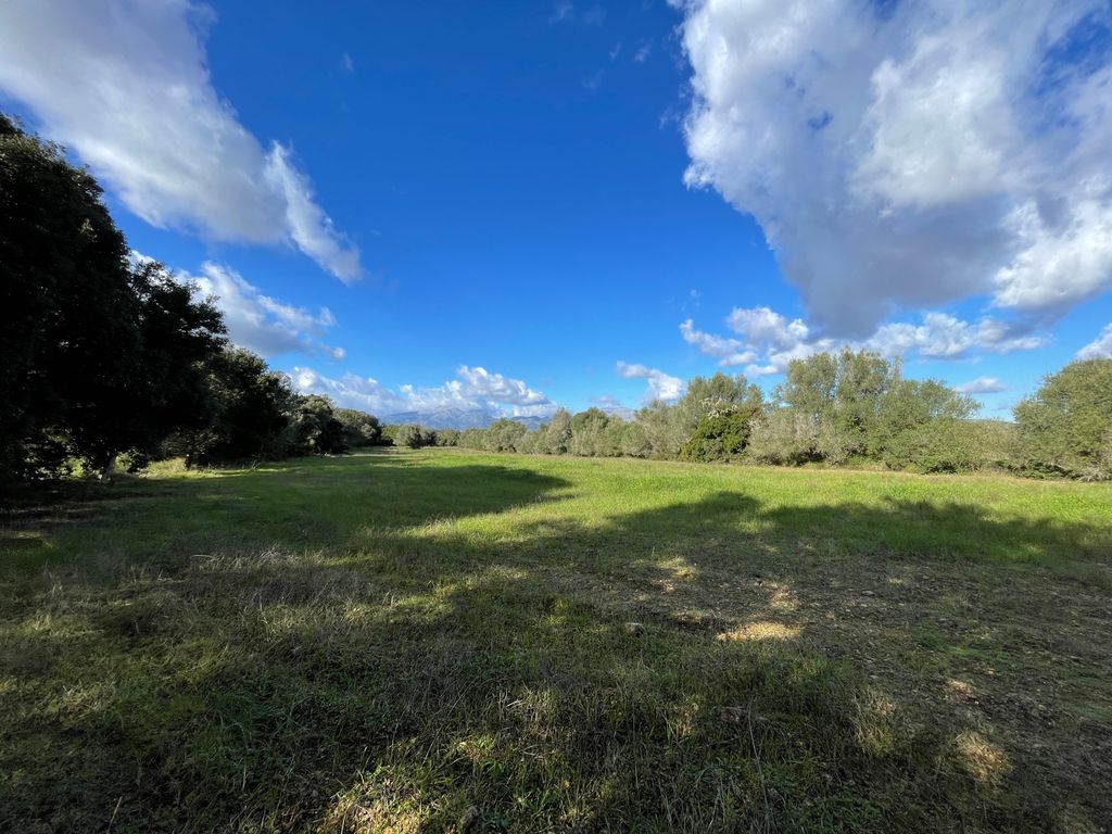 Property photo 1 of 9 Img_2690.Jpg