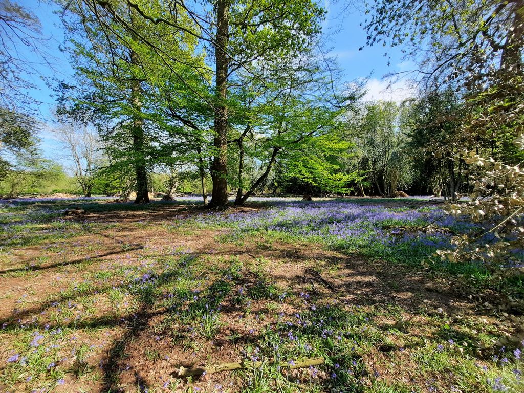 Property photo 3 of 10