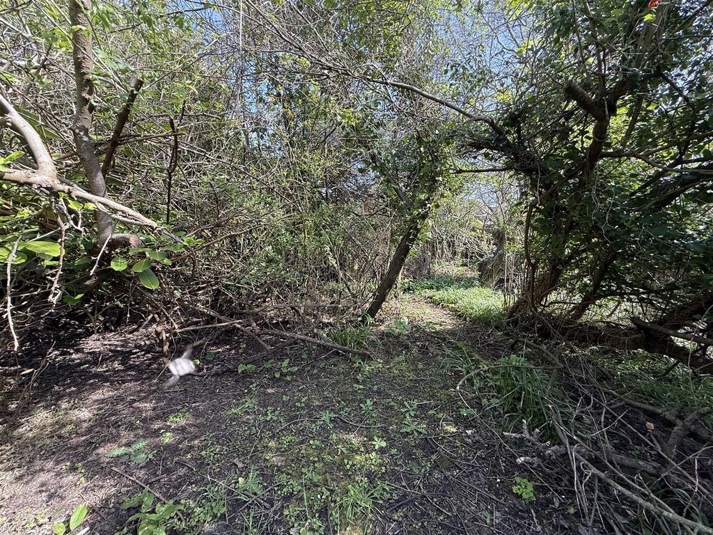 Property photo 2 of 15 Img_7279.Jpeg