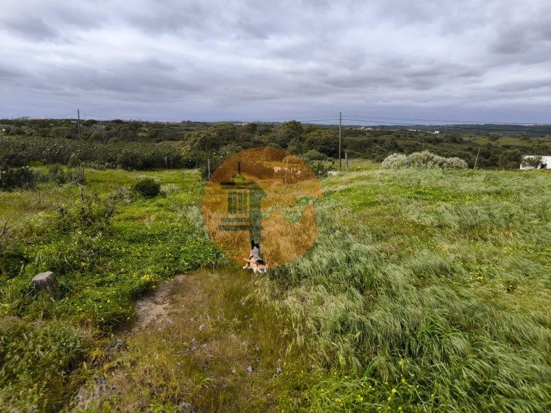 Property photo 1 of 37