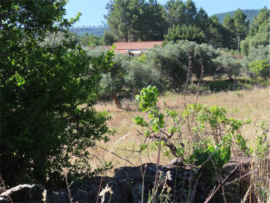 Property photo 3 of 50