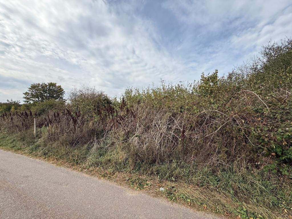 Property photo 3 of 3 Side Shot Of Land