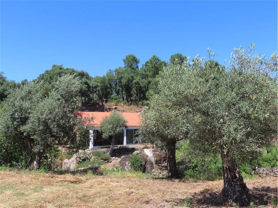 Property photo 1 of 50
