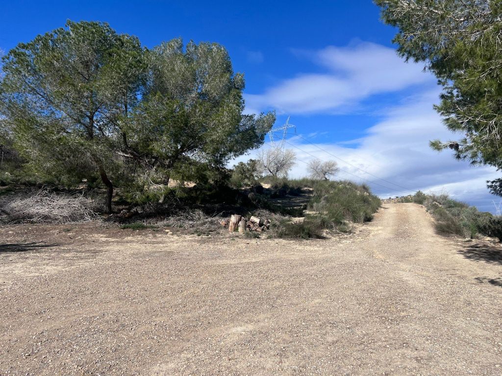 Property photo 3 of 22