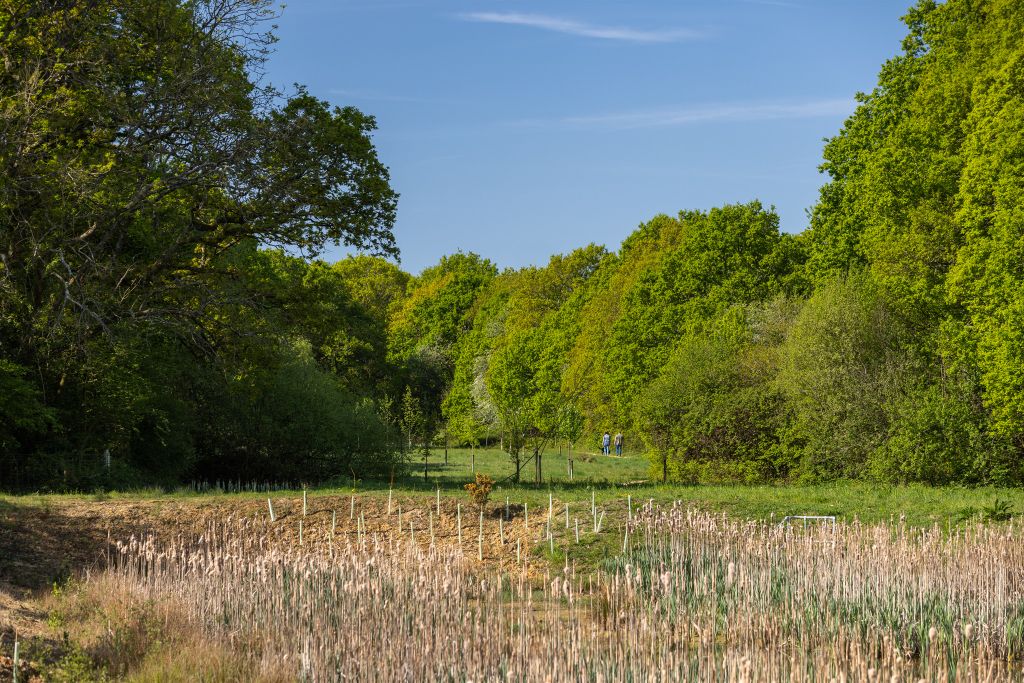 Property photo 2 of 22