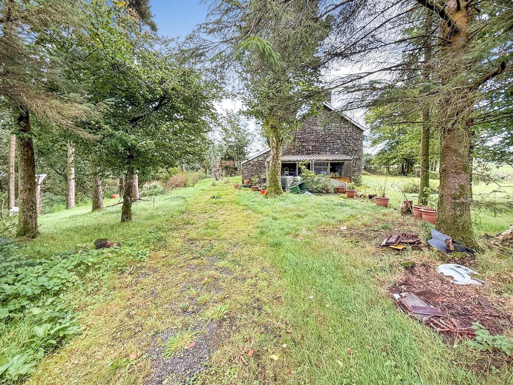 Property photo 3 of 19 Driveway