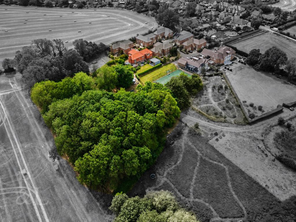 Property photo 1 of 52 Cdab9766-ce46-47d3-9A0E-25Aa8611d02B.Png