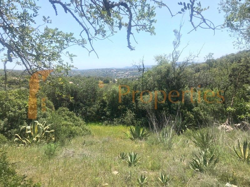 Property photo 1 of 4