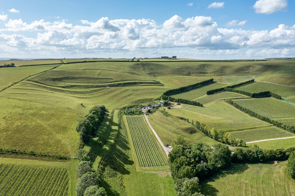 Property photo 2 of 13 Picture No. 01