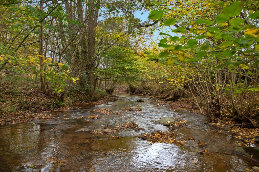 Property photo 2 of 2 Picture 2