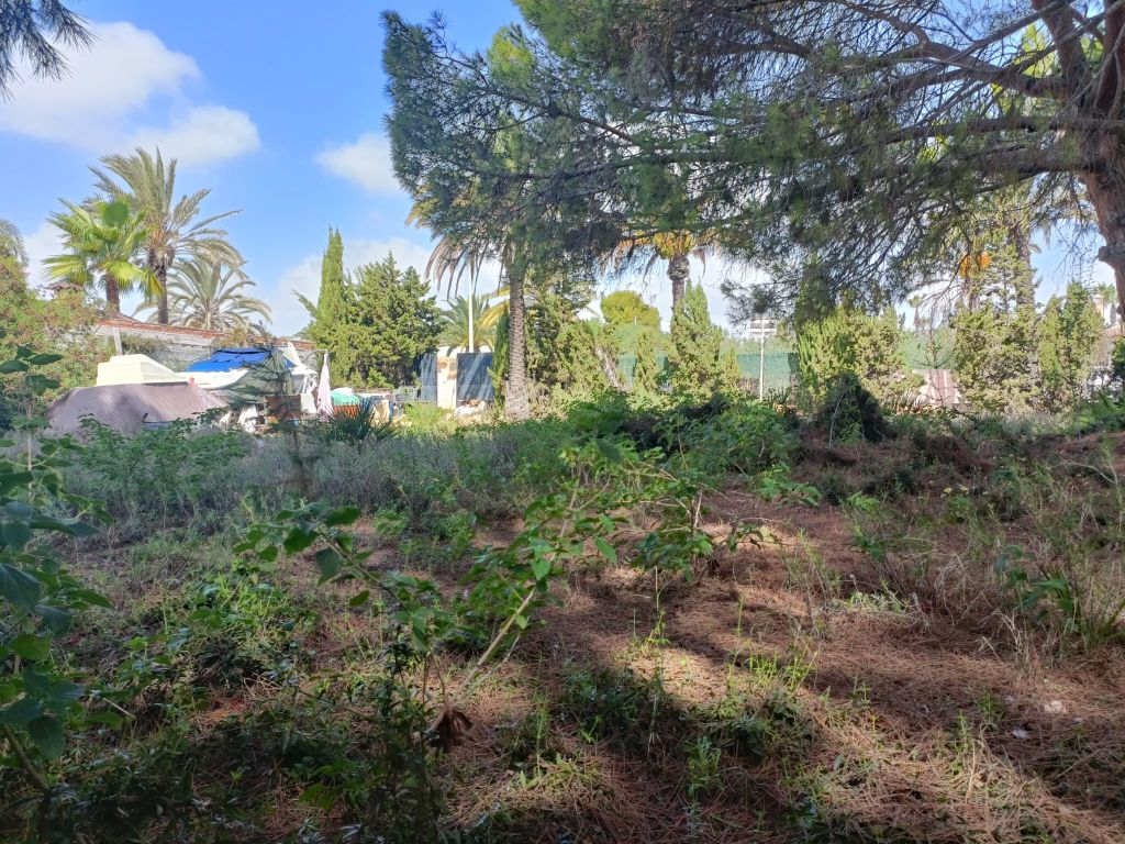 Property photo 3 of 12