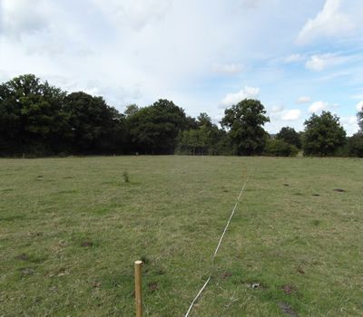 Additional image 11 of Land for saleCrowhurst Village Road, Lingfield RH7