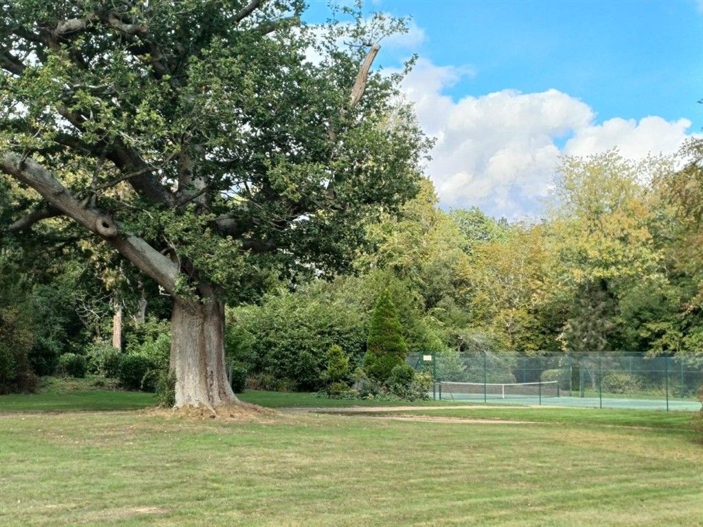 Property photo 3 of 19