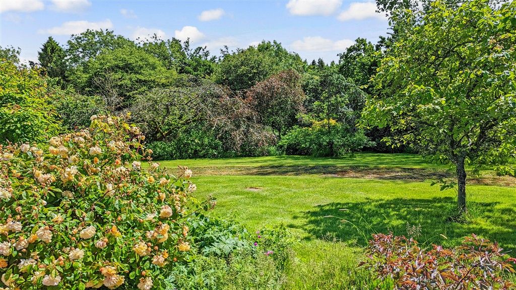 Property photo 3 of 26 Rear Garden