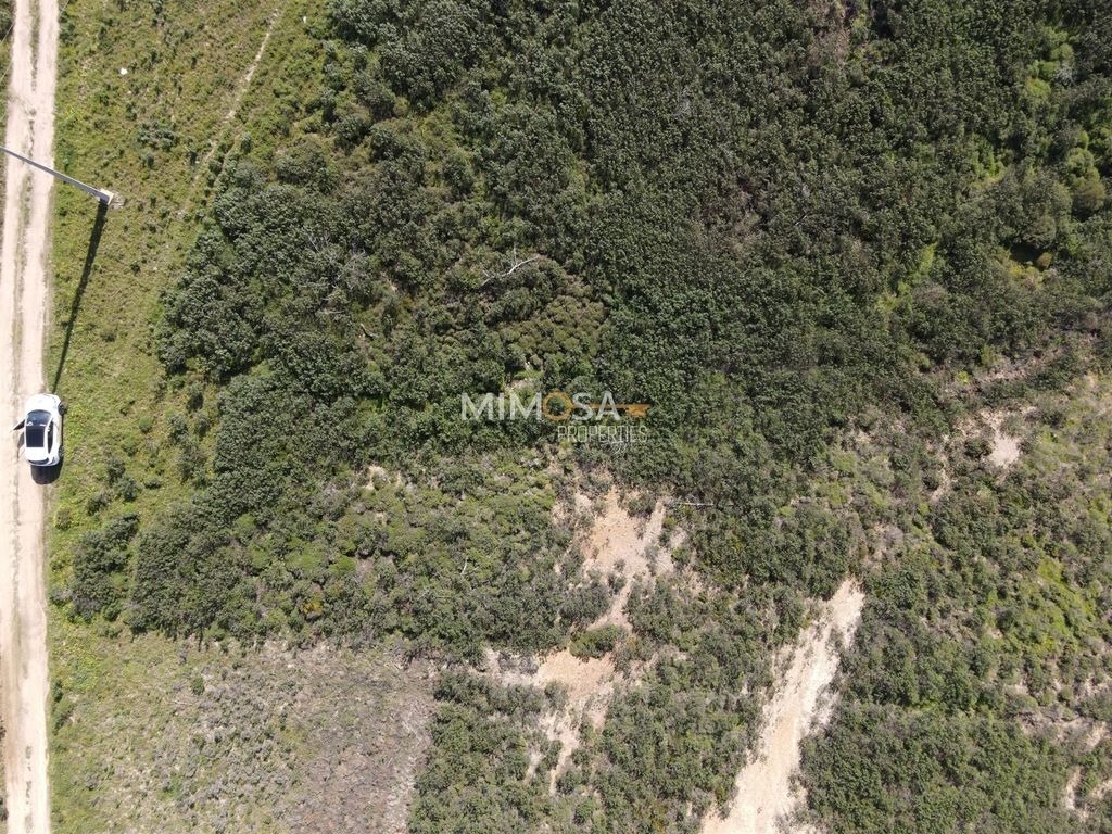 Property photo 3 of 4