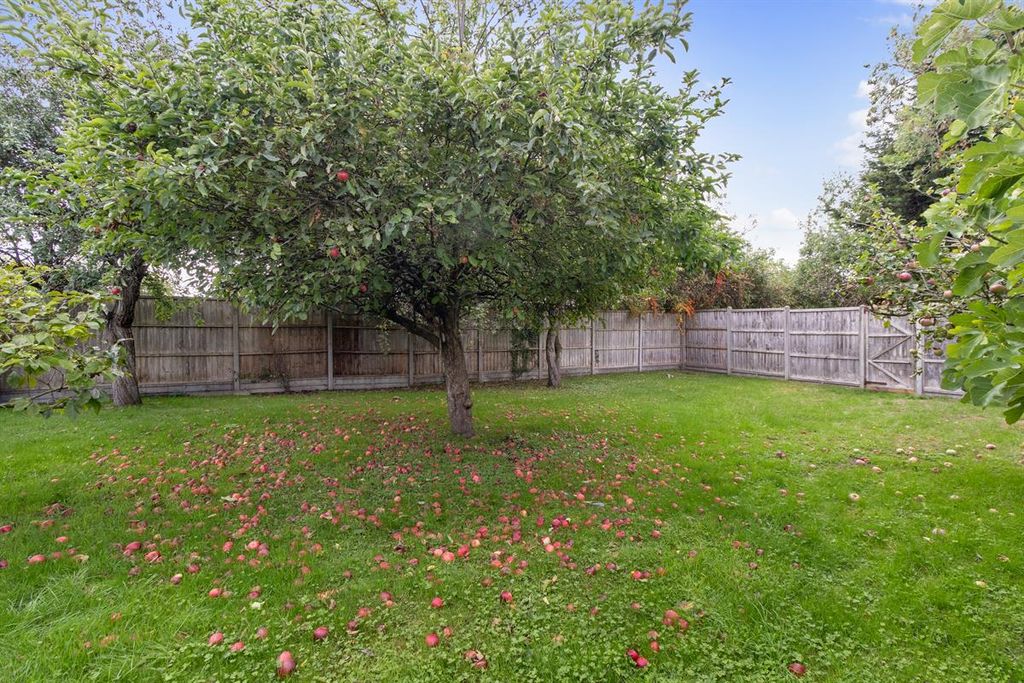 Property photo 3 of 13 Photo 8