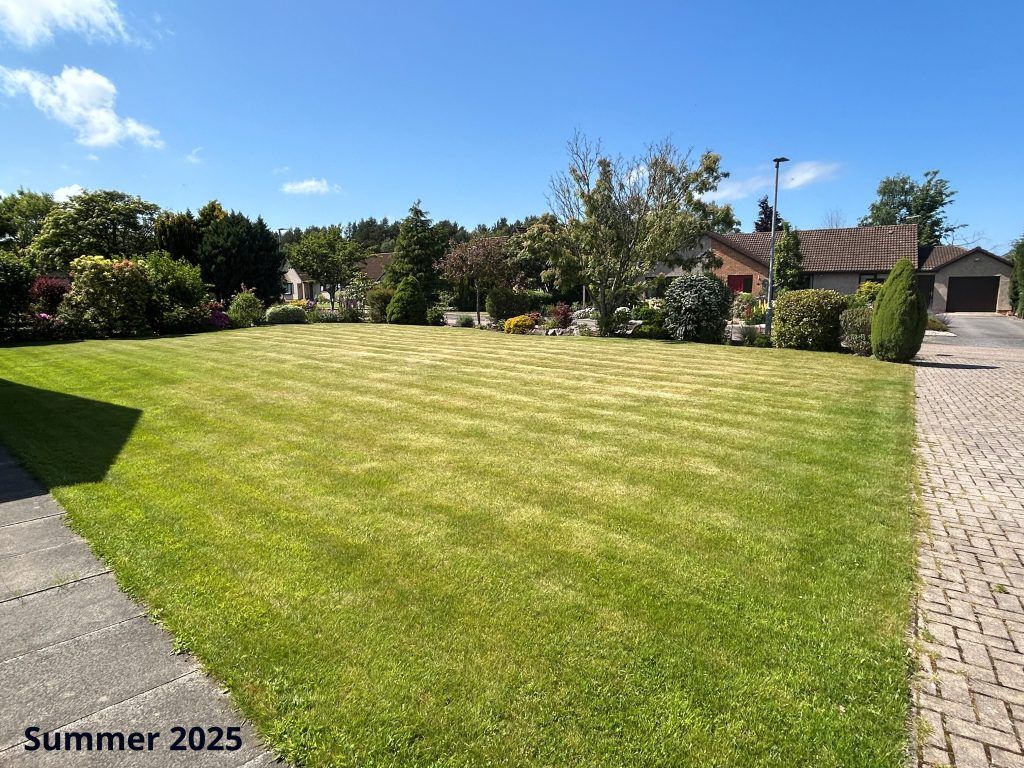 Property photo 2 of 25