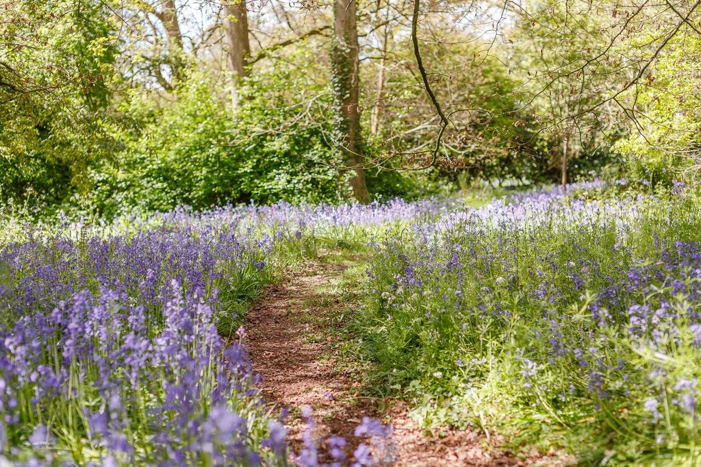 Property photo 2 of 23 The Woodland