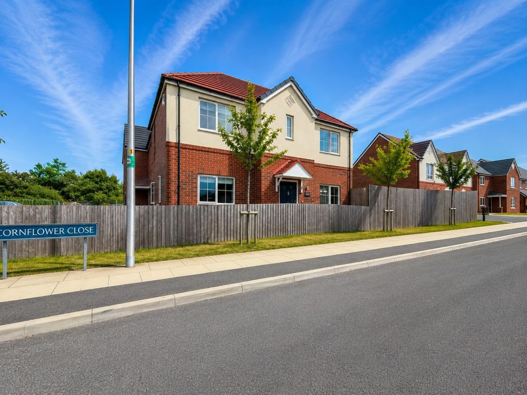 Property photo 3 of 26 5390236