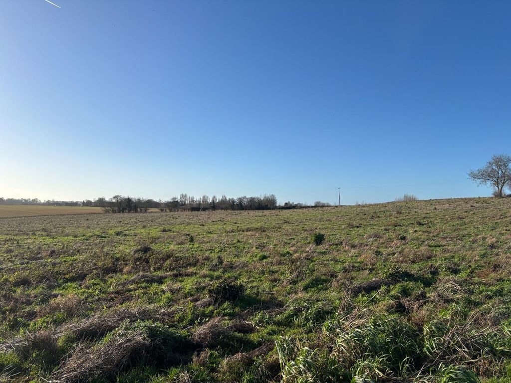 Property photo 2 of 3 Owens Court 2.Jpg