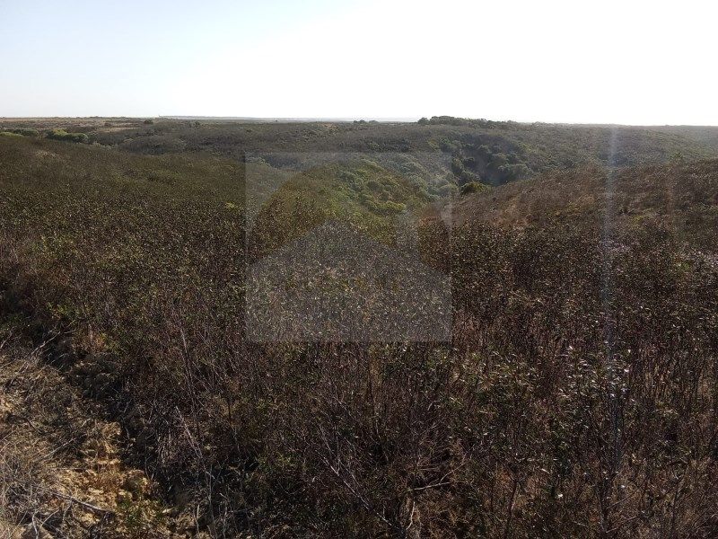 Property photo 3 of 3