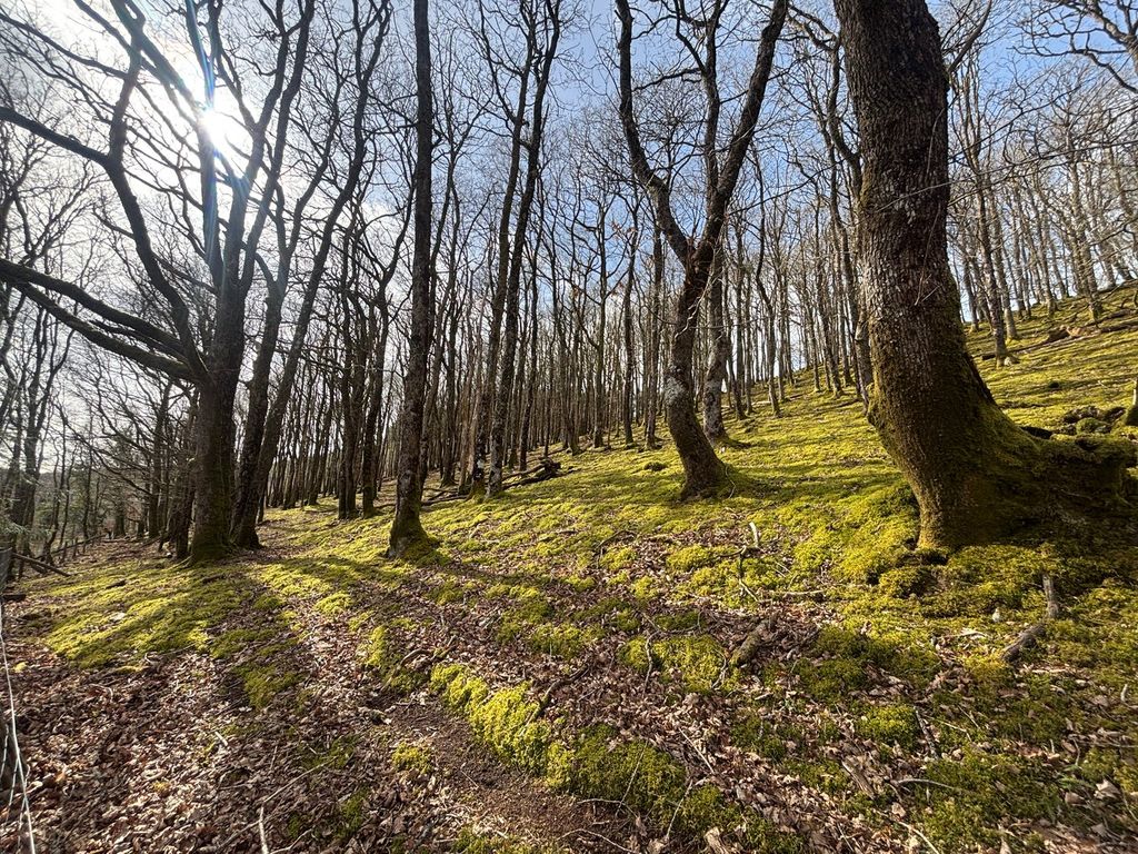 Property photo 3 of 4