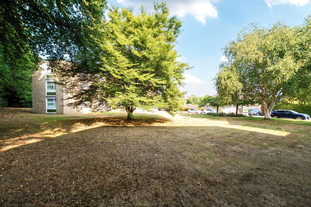 Property photo 2 of 12 Picture No. 16