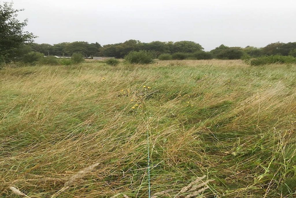 Property photo 3 of 7