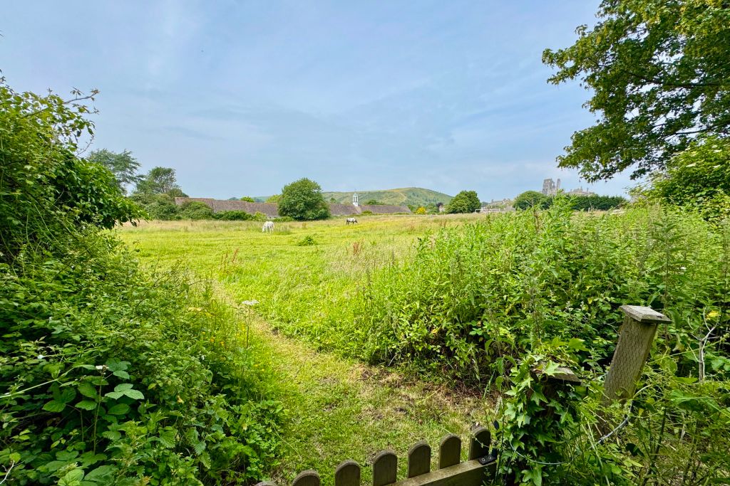 Property photo 2 of 14 Adjoining Halves Common