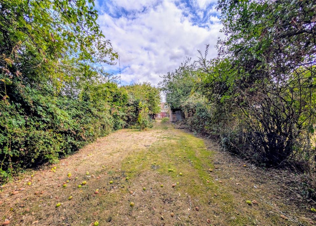 Property photo 3 of 12