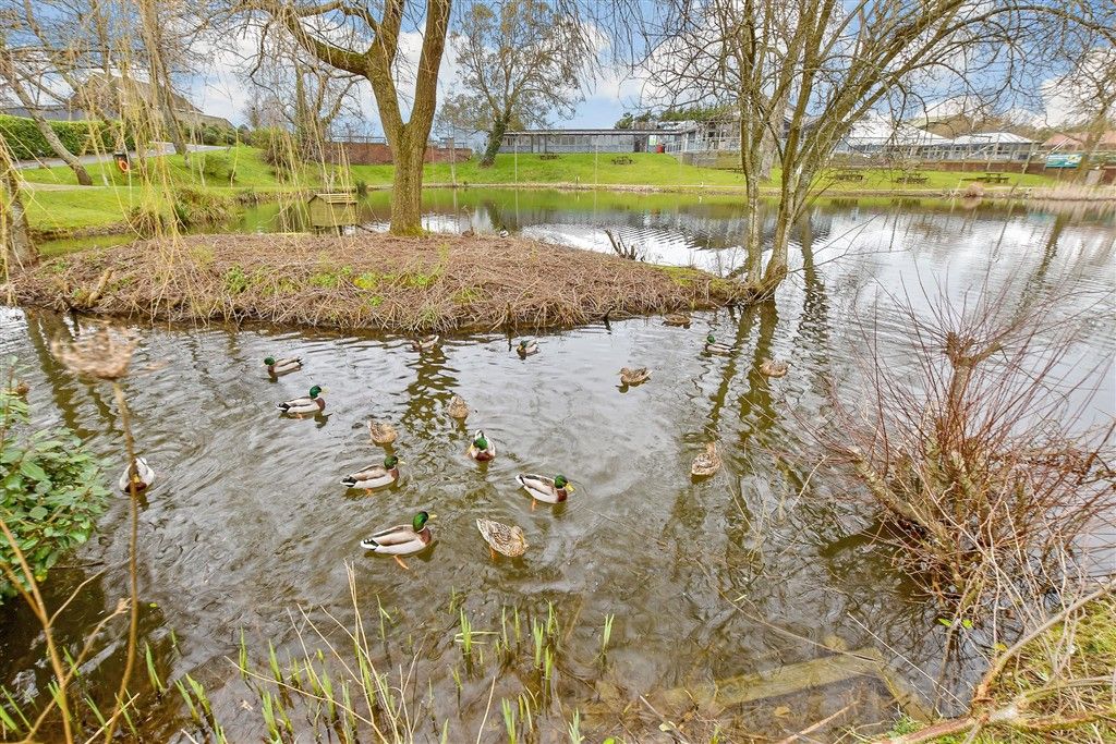 Property photo 2 of 14 Surrounding Area