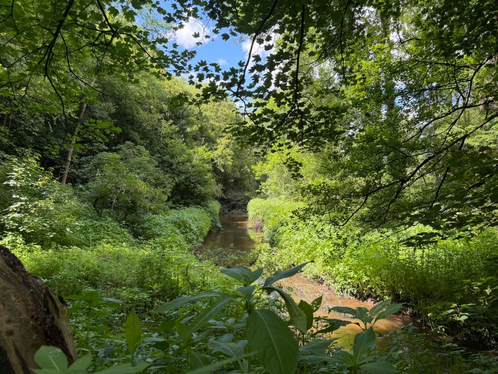 Additional image 9 of Land for sale64.17 Acres Land At Castle Farm, Greensforge Lane, Stourbridge DY7