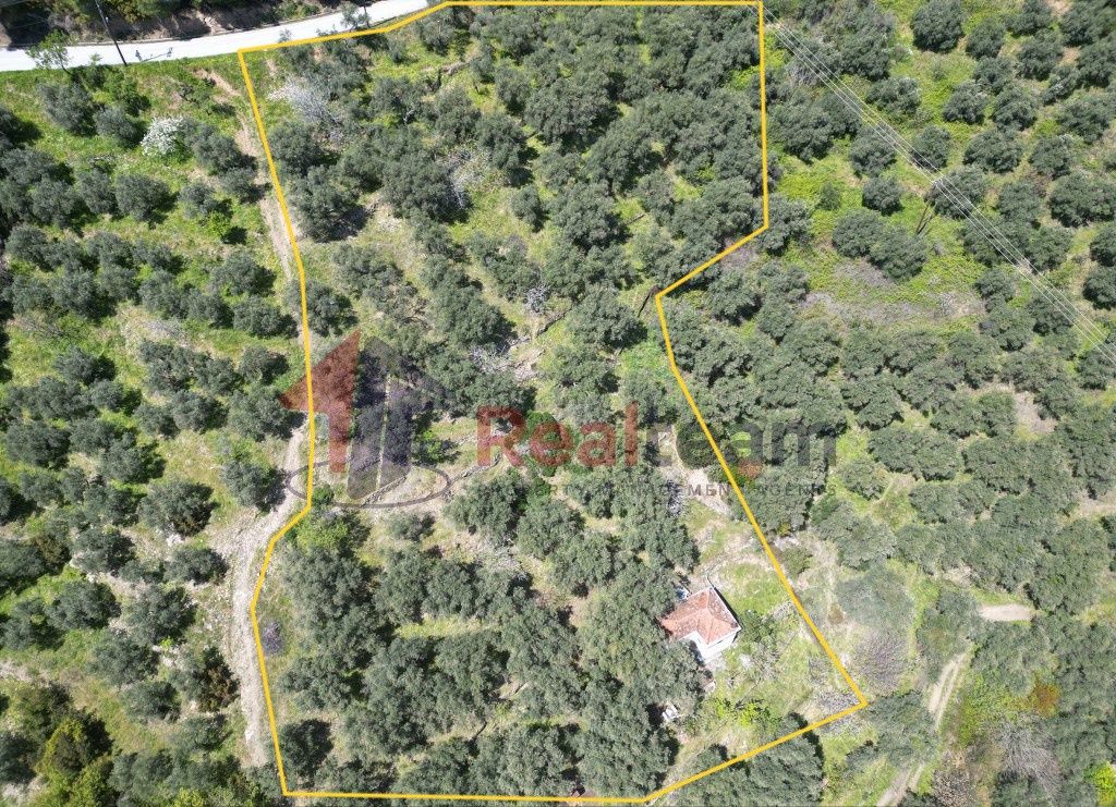 Property photo 2 of 30