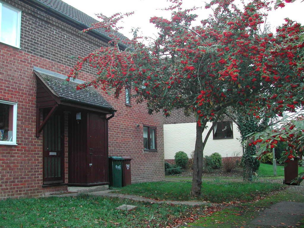 Property photo 1 of 10