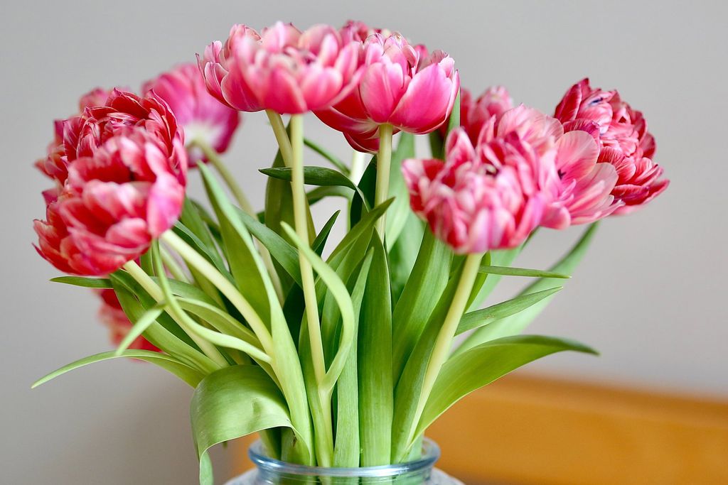 Additional image 12 of 3 bed terraced house for sale18 Stanhope Street, Abergavenny, Monmouthshire NP7